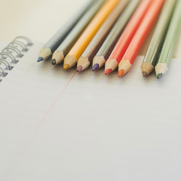 Gekleurde potloden voor tekening