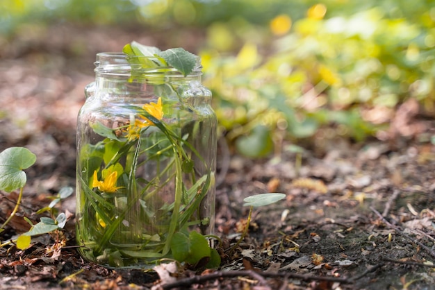 Gele bloem in een glazen pot