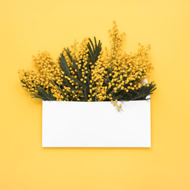 Gele bloemtakken in envelop