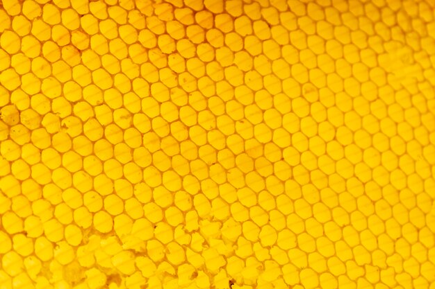 Gele honingraattextuur