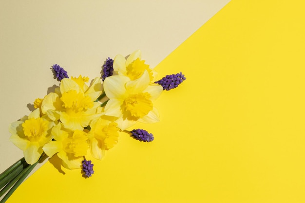Gele narcissen en paarse hyacinten op verhelderende achtergrond modern lenteconcept copy space