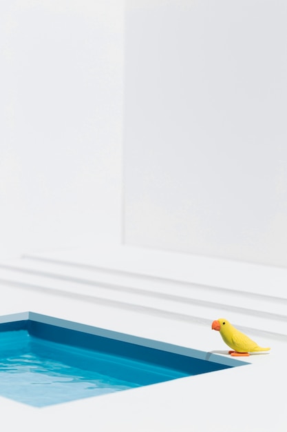 Gele vogel naast zwembad