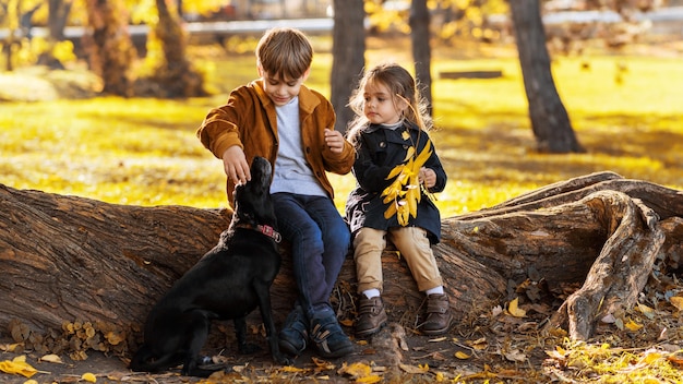 Gelukkig gezin in een herfstpark broer en zus zitten op een boomstam en aaien hun hond