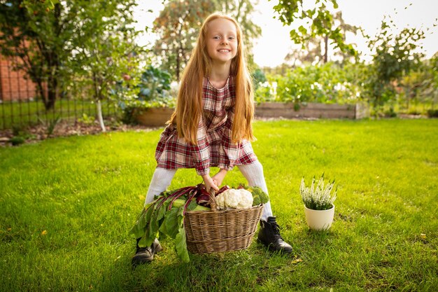 Gelukkig klein meisje dat appel verzamelt, seizoensgebonden voedsel in een tuin buitenshuis