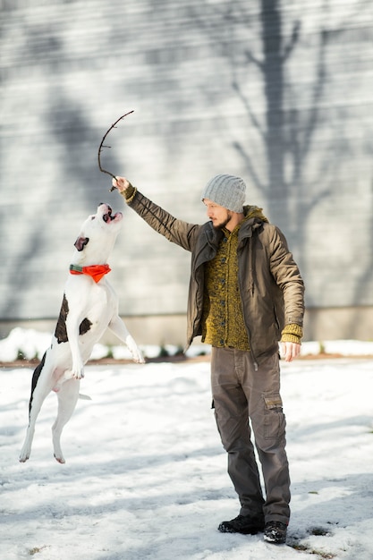 Gelukkige amerikaanse buldog springt naar een man die in winter park spelen