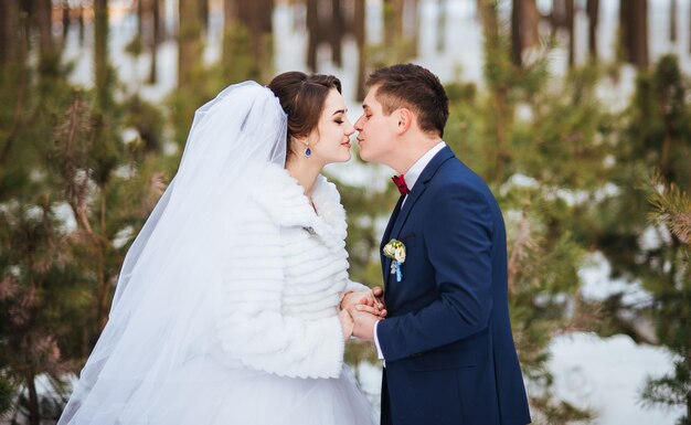 Gelukkige bruid en bruidegom in de winterdag op hun huwelijk