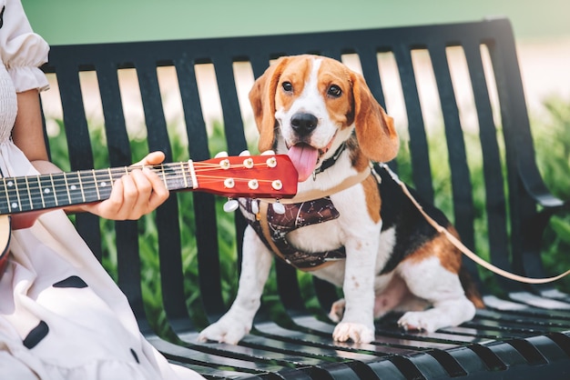 Gelukkige vrouw speelt met haar beagle hond in park buitenshuis lifestyle recreatie activiteit Gratis Foto
