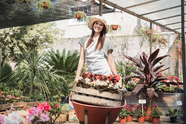 Gelukkige vrouwelijke tuinman die krat van bloemen in kruiwagen dragen