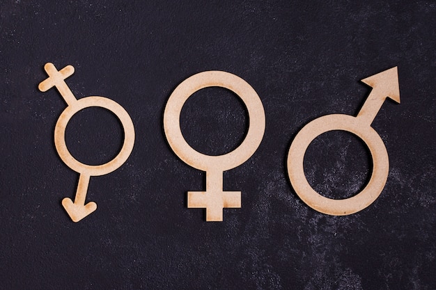 Gendergelijkheid concept pictogram