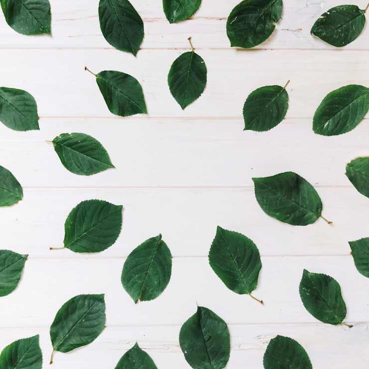 Gratis Foto geometrische bladeren ornament