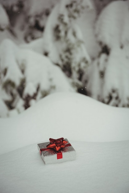 Geschenkdoos in een sneeuwlandschap