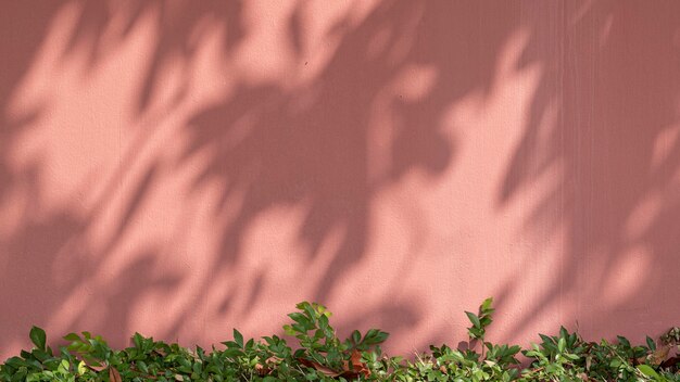 Geschilderde bakstenen muur met groene struik op natuurlijke lichte achtergrond