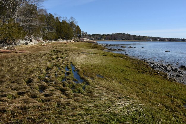 Getijdenpoelen langs een zoutmoeras naast de oceaan