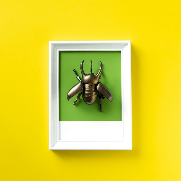 Gratis foto gevleugeld kever insect speelgoed object