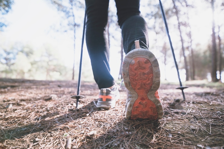 Gratis Foto gewas benen lopen in het bos