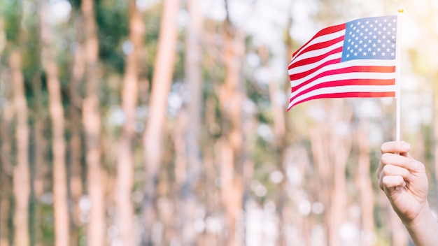 Gewas hand verhogen Amerikaanse vlag