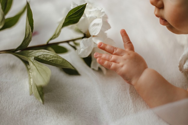 Gewasbeeld van de hand en het gezicht van een kaukasisch schattig babykind met zachte witte pioenroos liggend op een witte deken