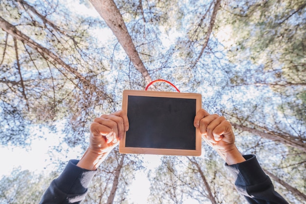 Gratis foto gewashanden die bord in bos houden