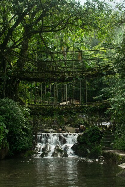 Geweldige foto van een waterval omringd door prachtige natuur op de voorgrond van een oude brug