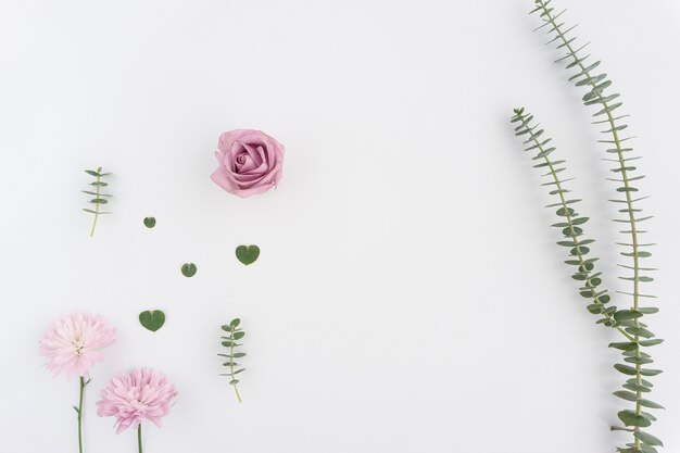 Geweldige romantische achtergrond met drie bloemen