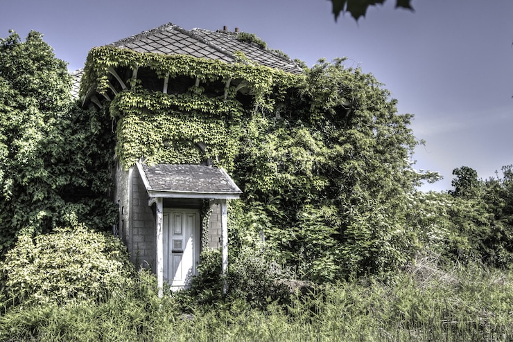 Gratis Foto gezellige woonwoning omgeven door groen