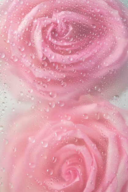 Gezicht op roze bloemen achter condensglas