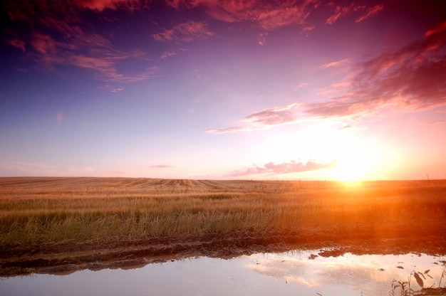 Gratis foto gezien weide bij zonsondergang