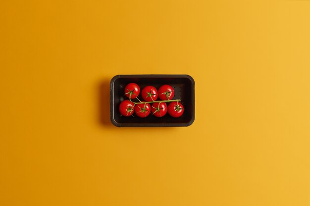 Gezonde kleine kleine kersentomaten op één stam in zwarte container die over gele achtergrond wordt geïsoleerd. Heerlijke groenten voor het maken van tomatensap of vegetarische zomersalade. Perfect smakelijke oogst