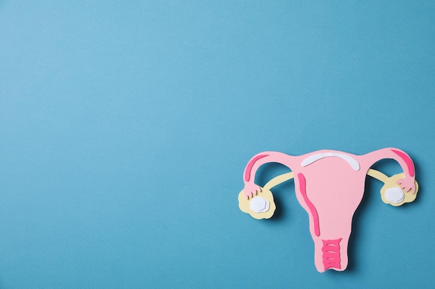 Gezondheid van vrouwen en gezondheidszorgconcept voor vrouwen met baarmoeder