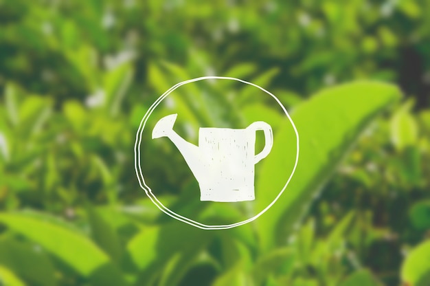Gratis foto gieter groei groene thee kruid bush landbouw concept