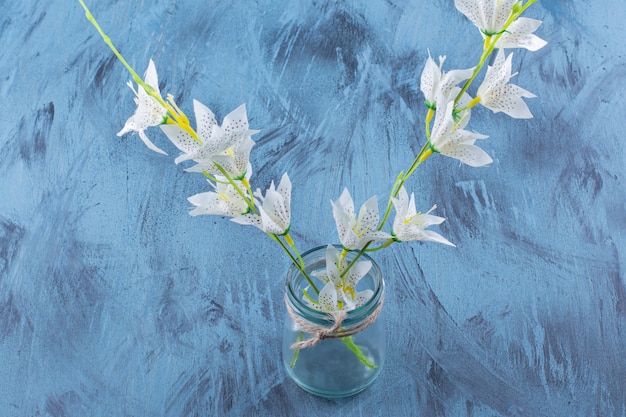 Glazen fles mooie witte tijgerlelie op blauw.