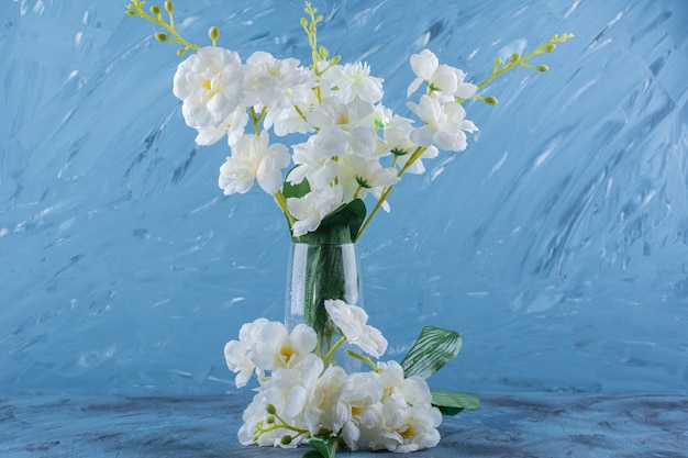 Glazen vaas met witte natuurlijke bloemen op blauw.