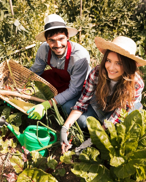 Glimlachend portret van mannelijke en vrouwelijke tuinman die in de moestuin werken
