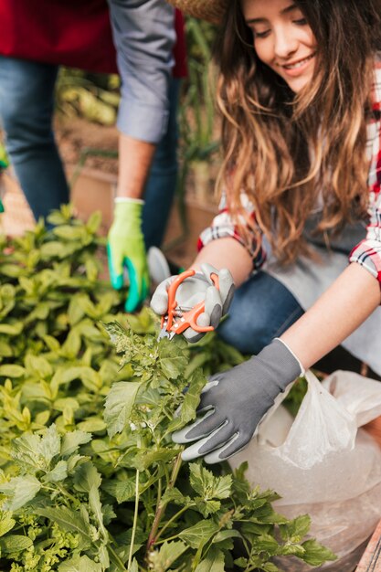 Glimlachend portret van vrouwelijke tuinman die de installatie met scharen in orde maken