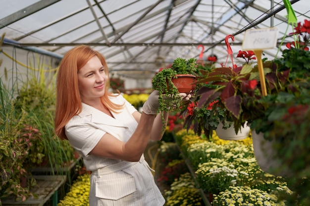 Glimlachende bloemist in haar kwekerij inspecteert potbloemen terwijl ze de tuinplanten in de kas verzorgt
