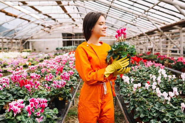 Glimlachende jonge vrouwelijke tuinman die roze bloempot in serre houden