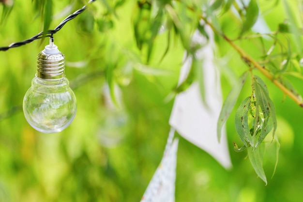 Gloeilampen en slingers hangen aan takken