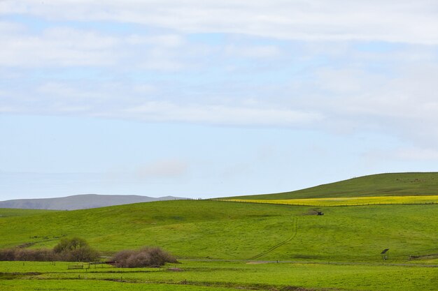Glooiende groene heuvels van Noord-Californië