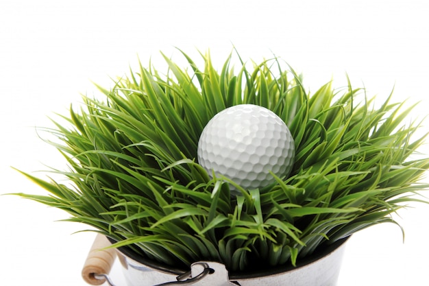 Golfbal in gras