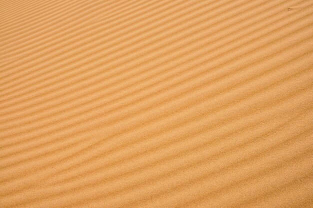 Golvende zandachtergrond voor zomerontwerpen of achtergronden Natuurlijke zandsteentextuur achtergrondzand op het strand als achtergrond