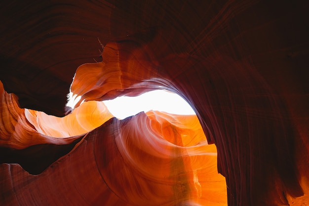 Grand Canyon-natuurlengte in Arizona de VS