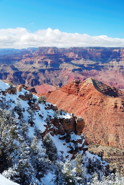 Grand Canyon-panorama in de winter met sneeuw