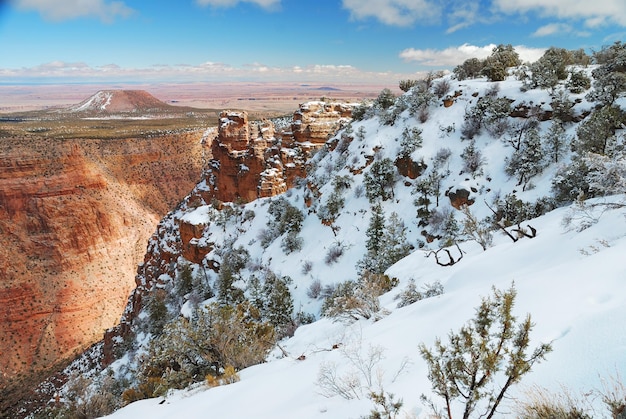 Grand canyon-panorama in de winter met sneeuw