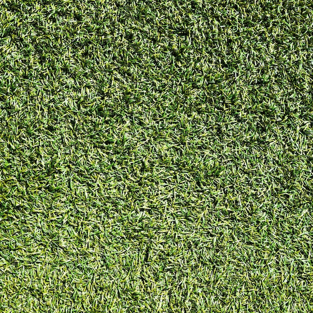 Gras textuur achtergrond