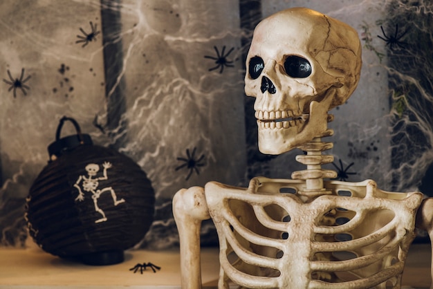 Griezelig skelet van de mens