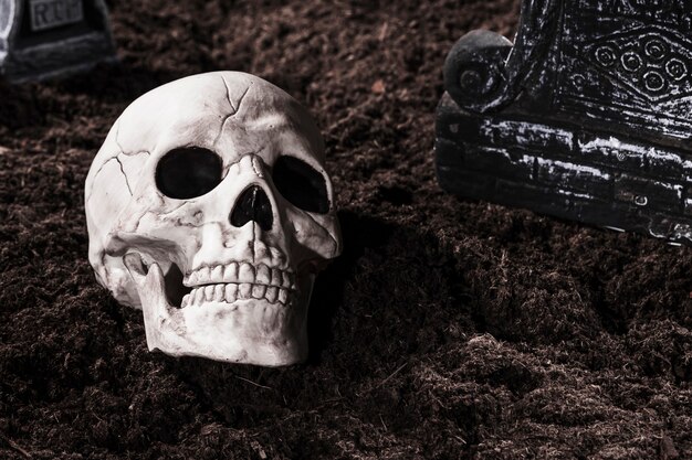 Griezelige menselijke schedel op begraafplaats op Halloween-nacht