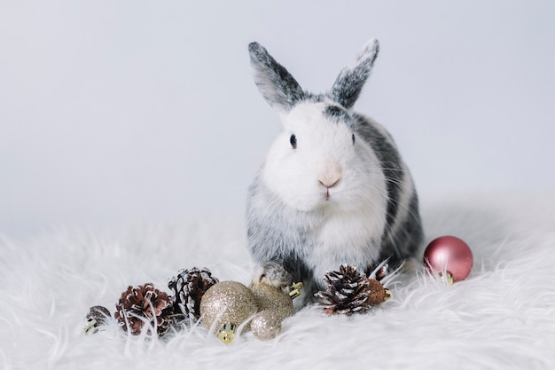 Gratis foto grijs konijn met kleine glanzende snuisterijen