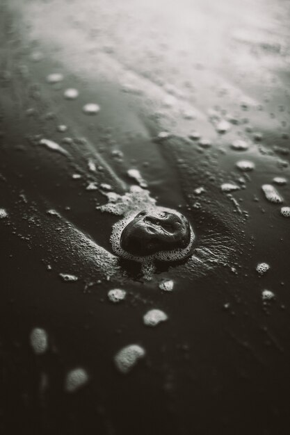 Grijstinten van stenen op het strand omgeven door de zee onder zonlicht met een wazig