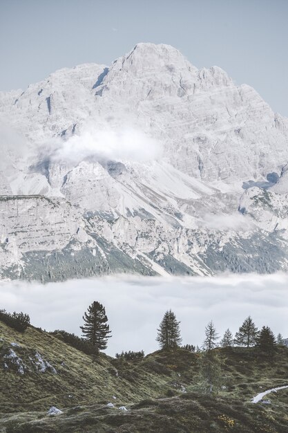 Grijze bergen onder blauwe hemel