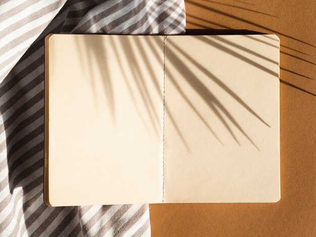 Grijze en witte gestripte spatie op een beige achtergrond met palmbladschaduw